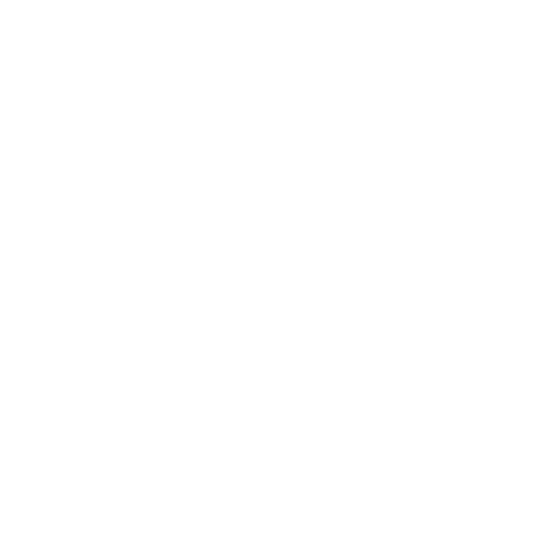 AUDACIOUS NY